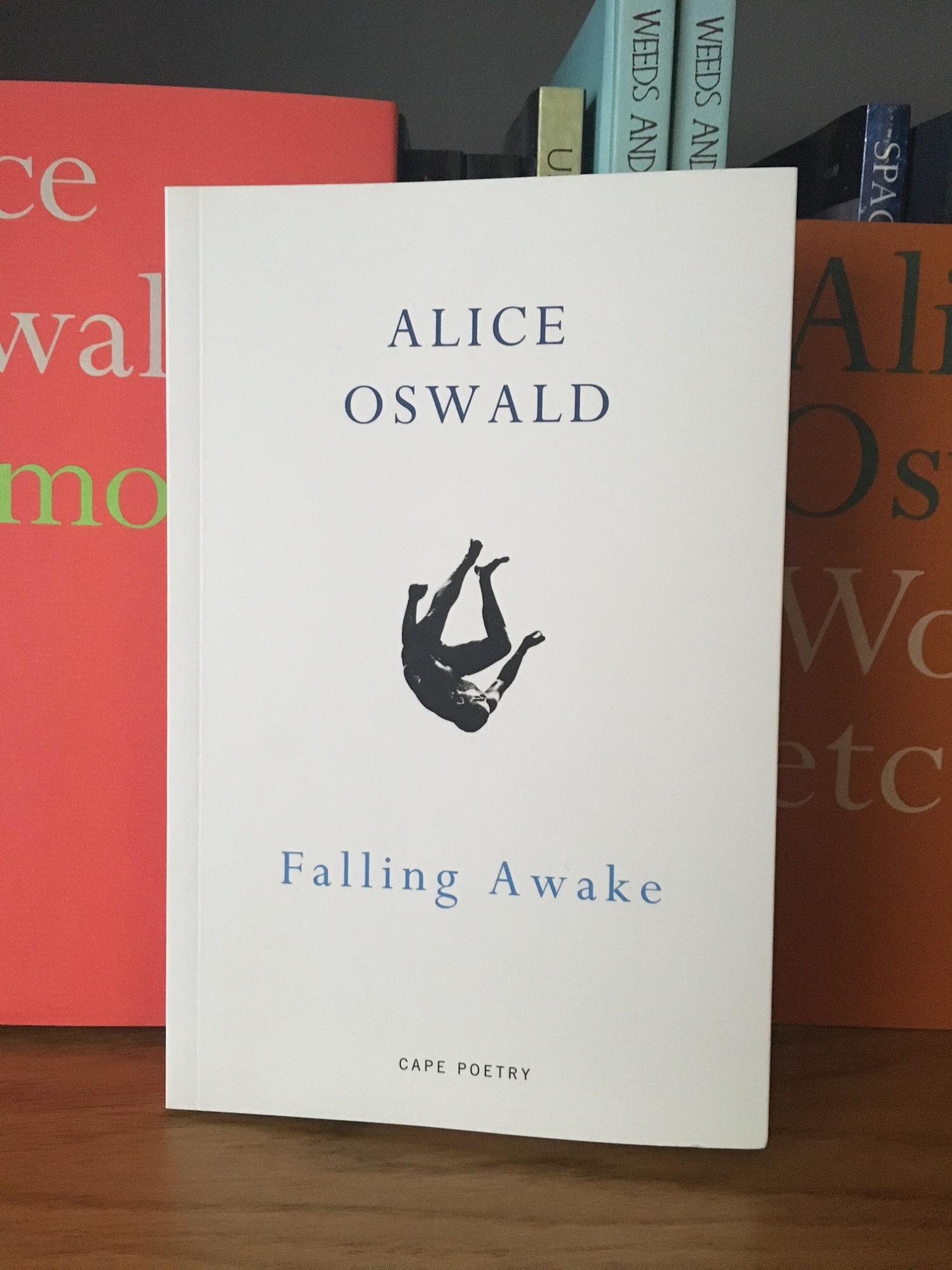 Falling Awake.jpg