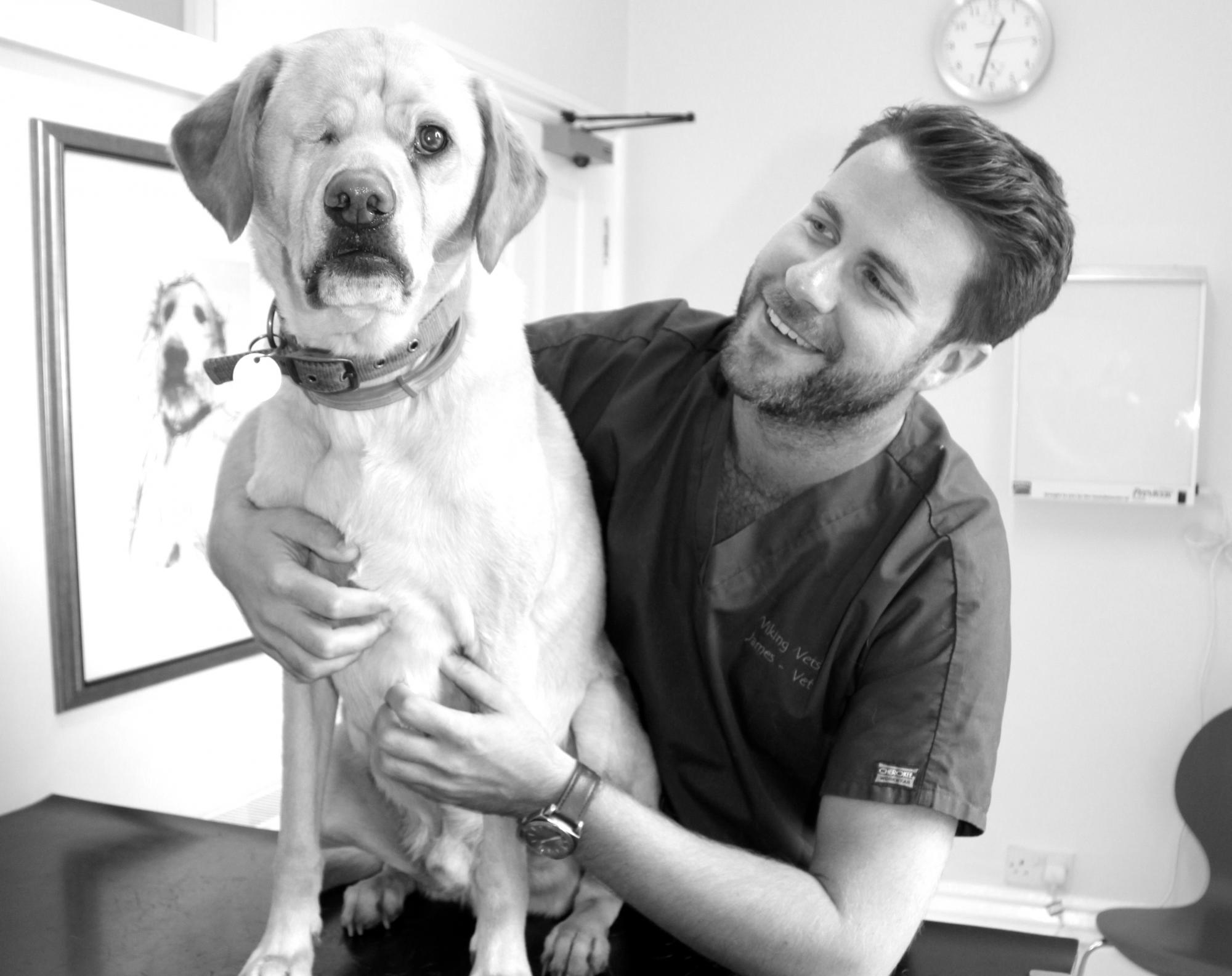 James Greenwood United Agents